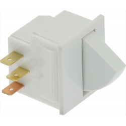 MICROINTERRUTTORE...