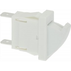 MICROINTERRUTTORE...