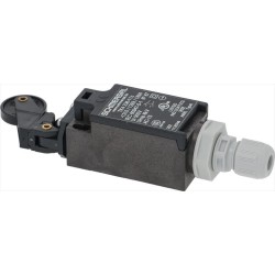 INTERRUTTORE FINECORSA...