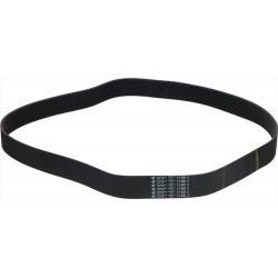 CINGHIA POLY V 1168J H31 12...