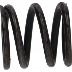 MOLLA PER MOTORE 40PR318