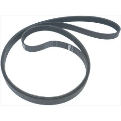 CINGHIA 6 GOLE H16 mm 1555...
