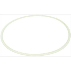 GUARNIZIONE COPERCHIO 5009872