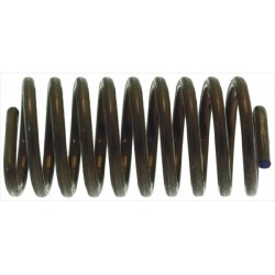 MOLLA diametro 19x40 mm...