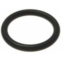 GUARNIZIONE ORM 0295-45...