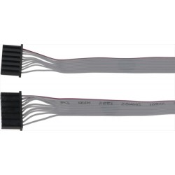 CAVO FLAT 10 POLI 800 mm...