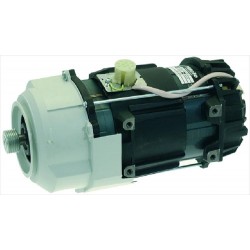 MOTORE 230V 50Hz 5034969