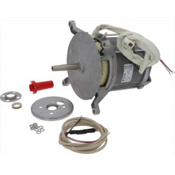 MOTORE HANNING L9FGW4D-395...