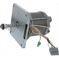 MOTORE HANNING L9ZW84D-586...
