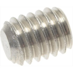 VITE SENZA TESTA A CAVA...