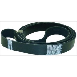 CINGHIA POLY-V94 5050991