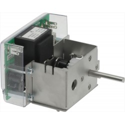 TEMPORIZZATORE ELETTRONICO...