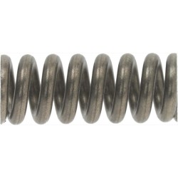 MOLLA diametro 8,3x21 mm...