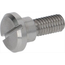 VITE INOX SAGOMATA M5x10...