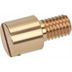 PERNO PER CERNIERA M5x15 mm...