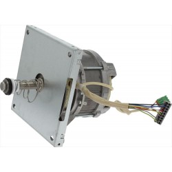 MOTORE HANNING L9FW4D-605...