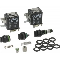KIT REVISIONE MODULO...