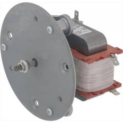 MOTORE L25R 5109835