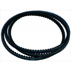 CINGHIA XP21700/3VX670 7101819