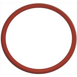 GUARNIZIONE ORM 0460-35 -...