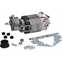 MOTORE COMPLETO 230V 50Hz...
