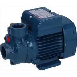 ELETTROPOMPA PKm60 0,50HP...