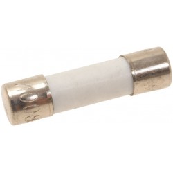FUSIBILE RITARDATO Ø 5X20 MM - 10 PZ  Cod. 3049095
