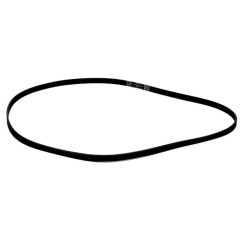 CINGHIA LAVATRICE CANDY...